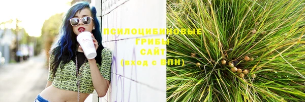 гашик Абинск