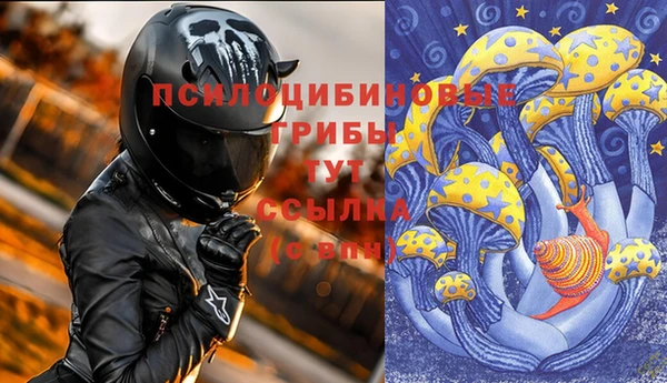 дурь Абаза