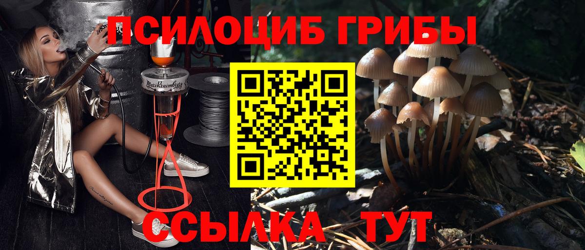 Галлюциногенные грибы Psilocybe  Вход с VPN  Тобольск  Галлюциногенные грибы Psilocybine cubensis 
