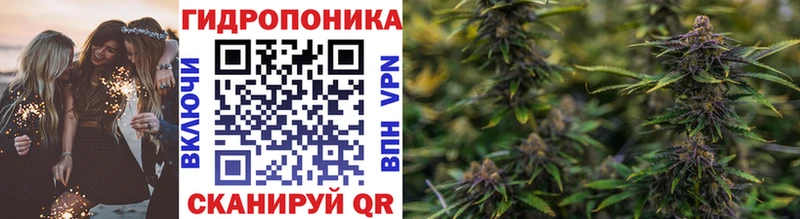 дарнет шоп  Тобольск  МАРИХУАНА конопля 